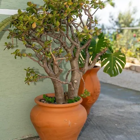 Xhorxhi Villa Ksamil