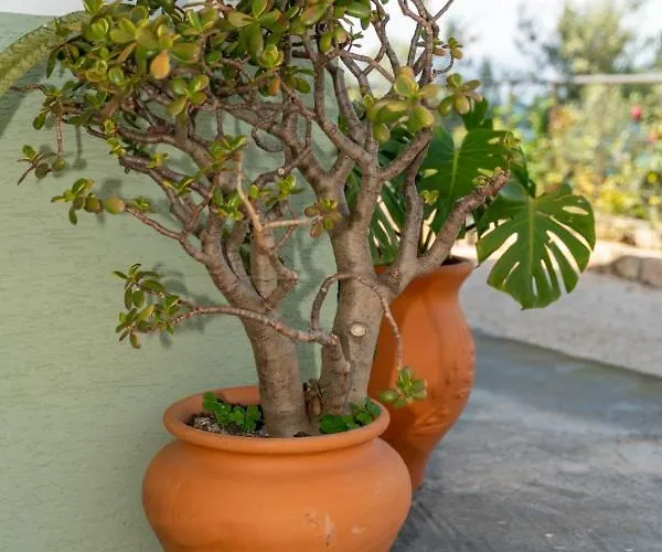 Xhorxhi Willa Ksamil